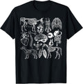 Veterinary Anatomy