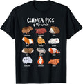 Guinea pig designs