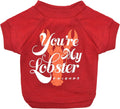 'You're My Lobster' Dog T-Shirt in Red | Soft, Lightweight & Semi-Stretch Dog Shirt, Machine Washable Pull-Over, Size X-Small for Small Dogs & Puppies