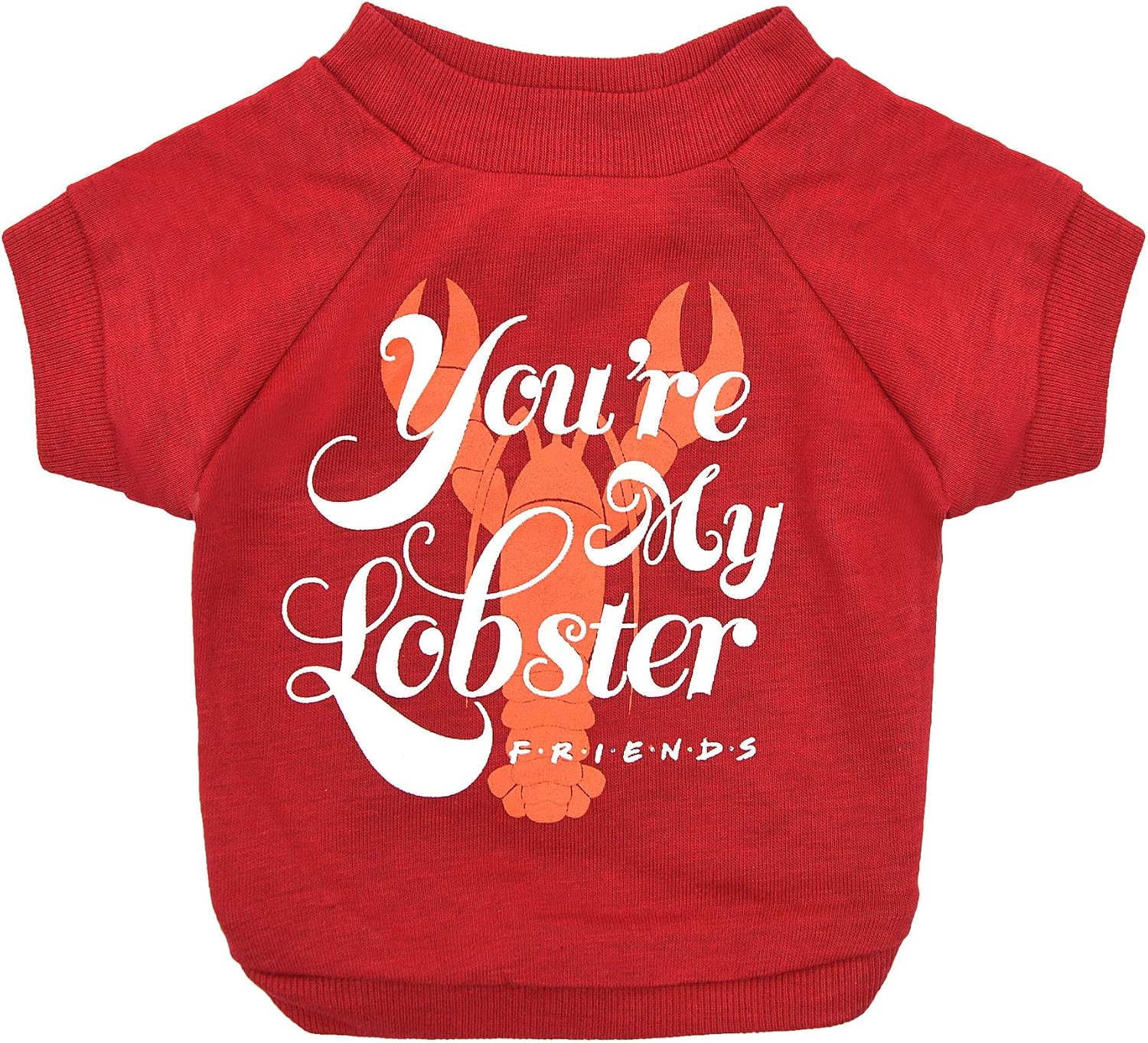'You're My Lobster' Dog T-Shirt in Red | Soft, Lightweight & Semi-Stretch Dog Shirt, Machine Washable Pull-Over, Size X-Small for Small Dogs & Puppies