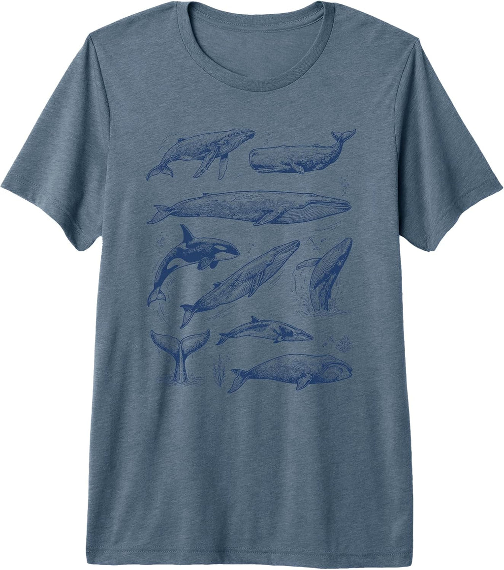 Cute Whale Ocean Summer Illustration Marine