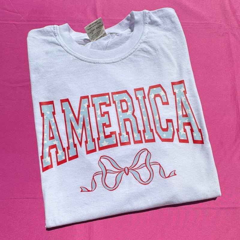 America Varsity Letter Comfort Colors T-Shirt 'NLB' Hoodie, Sweatshirt | HypeDripTees.com