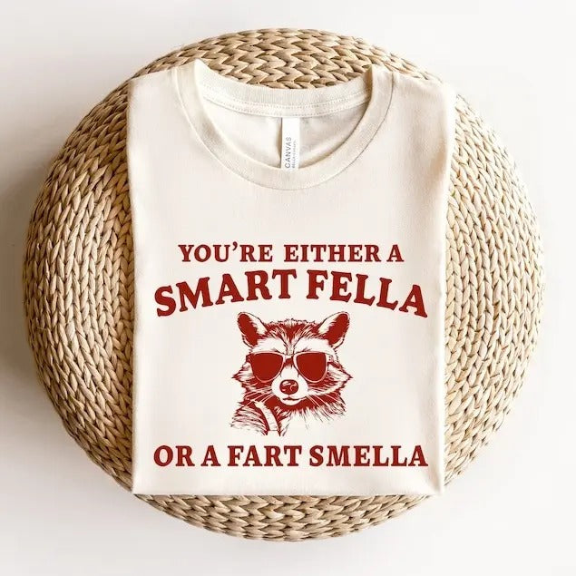 Are You A Smart Fella Or Fart Smella? Retro Cartoon T Shirt, Weird T Shirt, Meme T Shirt, Trash Panda T Shirt, Unisex...