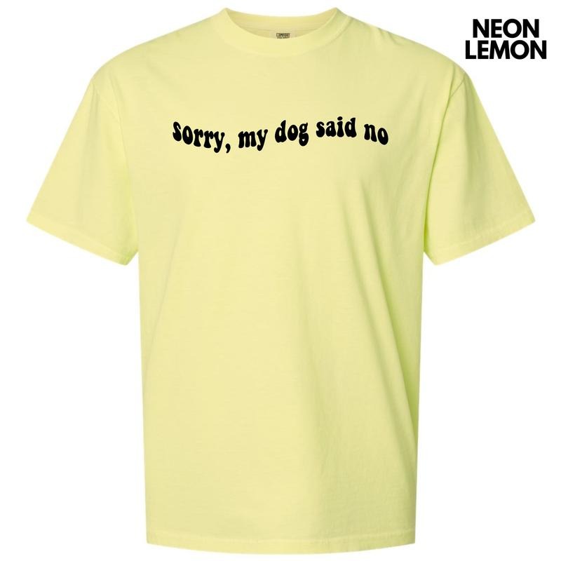 Black My Dog Said No Comfort Colors T-Shirt 'NLB' Hoodie, Sweatshirt | HypeDripTees.com