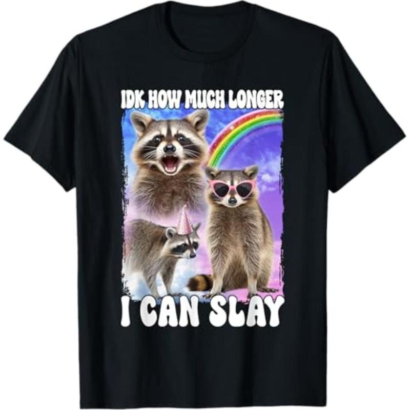Casual T-shirt Idk How Much Longer I Can Slay Meme Raccoon Funny T-Shirt Comfy Menswear Hoodie, Sweatshirt | HypeDripTees.com