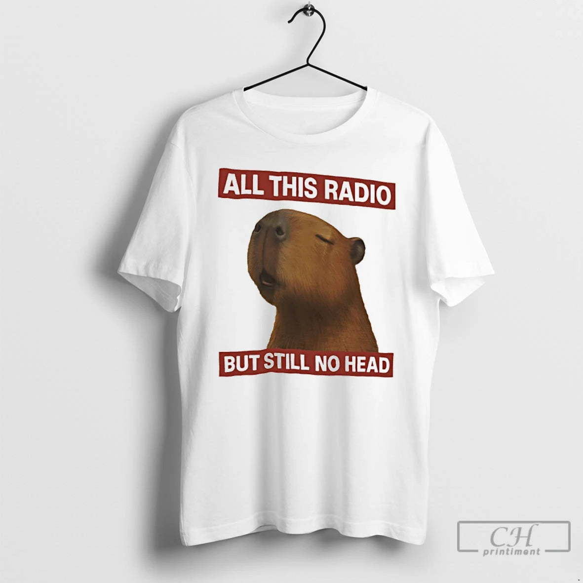 Classic Capybara All This Radio But Still No Head T-Shirts, Hoodie, Sweatshirt | HypeDripTees.com