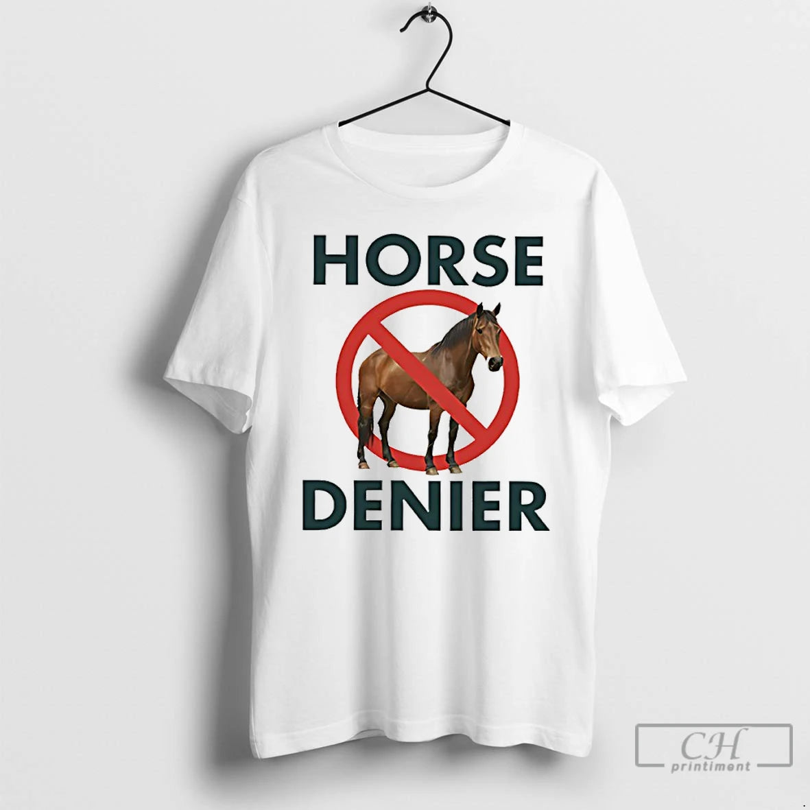Classic Horse Denier Conspiracy Theory T-Shirts, Hoodie, Sweatshirt | HypeDripTees.com