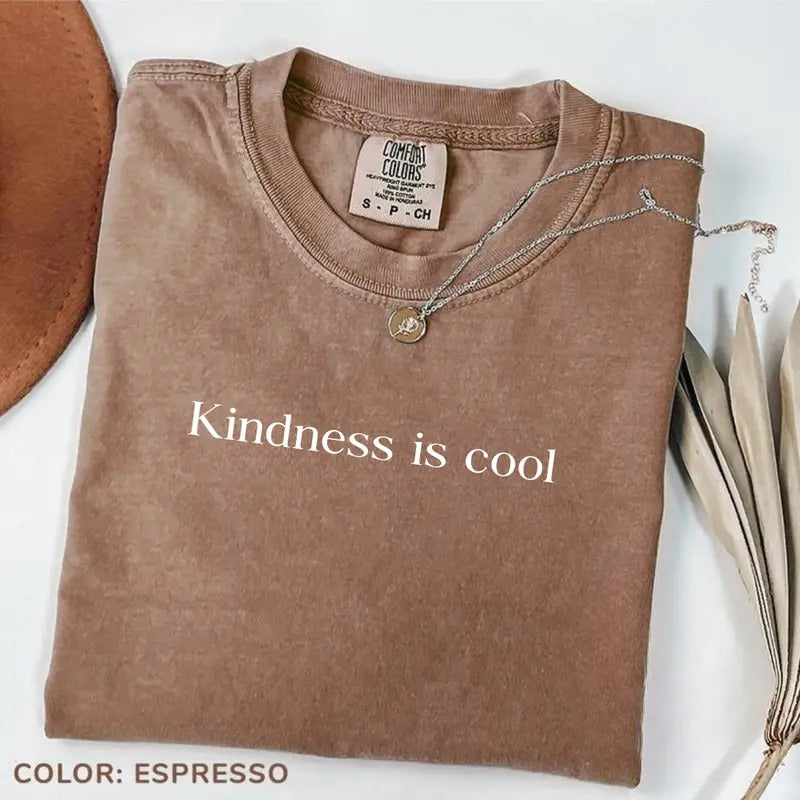Comfort Color Kindness Is Cool T-shirt, Back To School Shirt, Elementary Team Teacher Tee, Teacher Appreciation Gift, Be...
