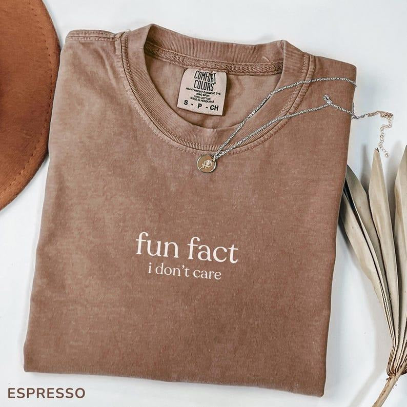 Comfort Colors Fun Fact I Don't Care Shirt, Sarcastic Shirt, Funny Humor Shirt, Adult Humor Shirt, Unisex Stylish Hoodie,...