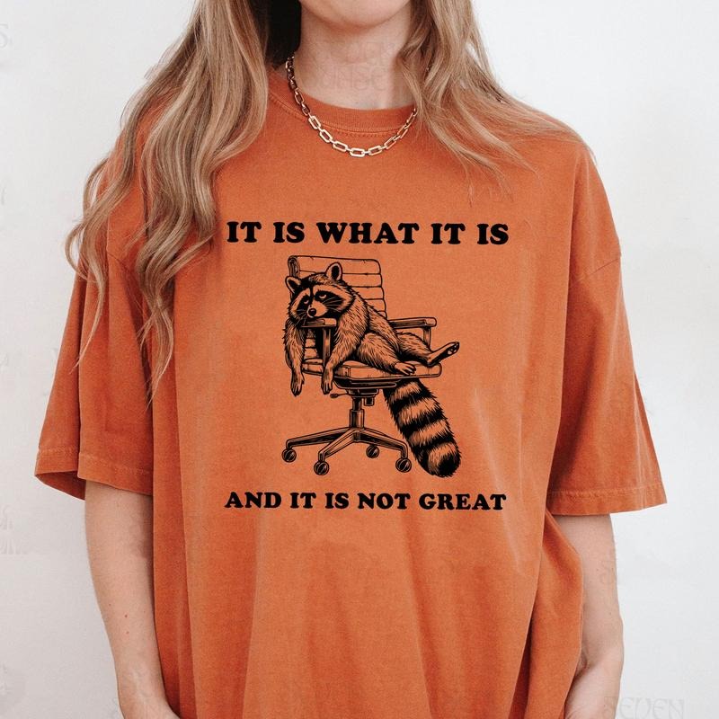 Comfort Colors It Is What It Is And It Is Not Great Shirt, Vintage Funny Raccoon Shirt, Sarcastic T-Shirt, Raccoon Gifts,...