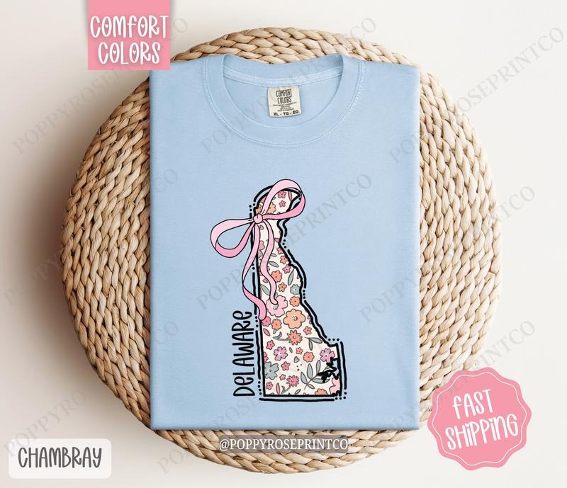Delaware Comfort Colors State Tshirt, Cute Delaware Shirt, Delaware Tshirt, Delaware Shirt Hoodie, Sweatshirt
