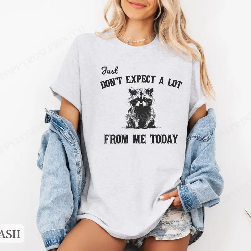 Don't Expect A Lot Today Shirt Bella Canvas,  Raccoon Funny Tshirts,  Gift for Her, Women's Graphic Tee Hoodie, Sweatshirt