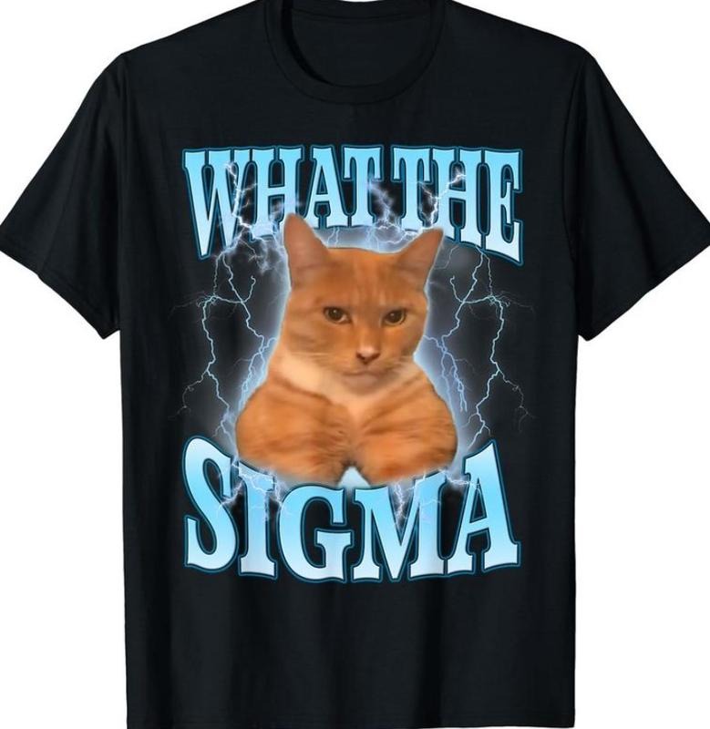 ERM, What The Sigma Meme Cat Ironic Brainrot Y2K T-Shirt Hoodie, Sweatshirt | HypeDripTees.com