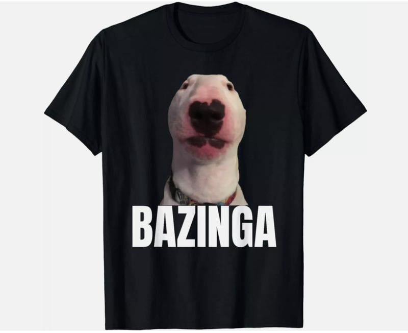 Funny Meme Dog GenZ Teenager Slang Gift Unisex T-Shirt  Top Womenswear Tshirt Streetwear Hoodie, Sweatshirt