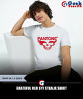 Grateful Red SYF Stealie shirt