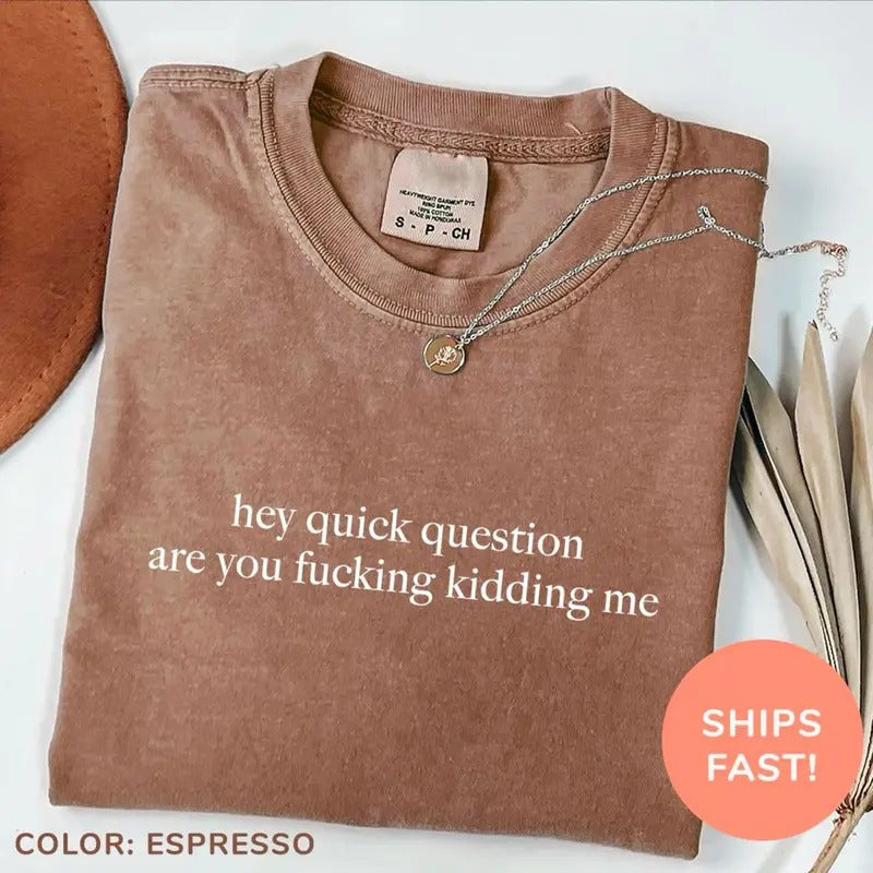 Hey Quick Question Are You Kidding Me Shirt, Funny Humor Sweatshirt, Funny Girls Shirt, Sarcasm T-Shirt, Trendy Shirt for...