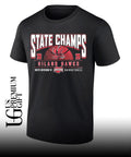 Hiland Hawks 2026 OHSAA Boys Basketball D6 State Champions shirt