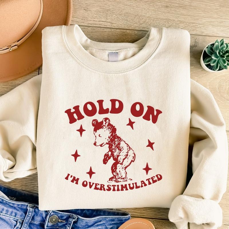 Hold On I'm Overstimulated Funny Hoodie, Funny Bear Hoodie, Meme Sweatshirt, Funny Friends Gifts T-Shirts | HypeDripTees.com