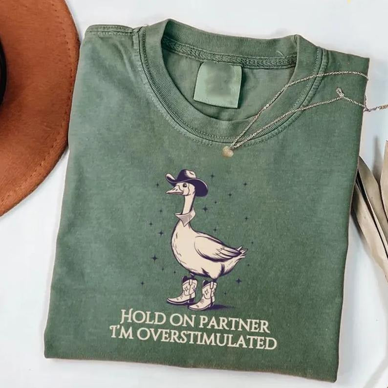 Hold On Partner Im Overstimulated Tee, Cowboy Duck Shirt Unhinged Tshirt, Cowboy Frog Shirt, Wierdcore Tshirt, Western...