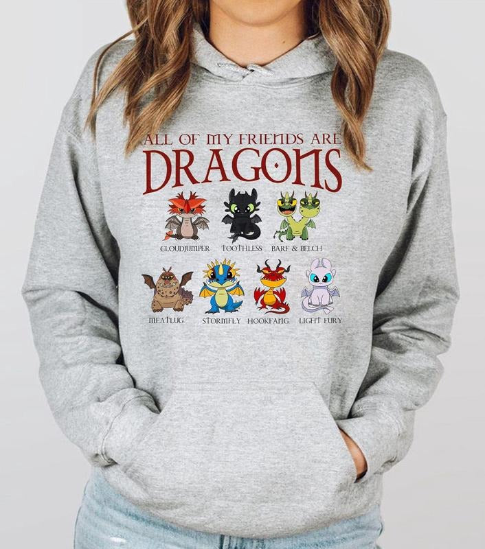 How To Train Your Dragon Shirt, Hidden World Tee, Toothless Friend Shirt Hoodie, Sweatshirt | HypeDripTees.com