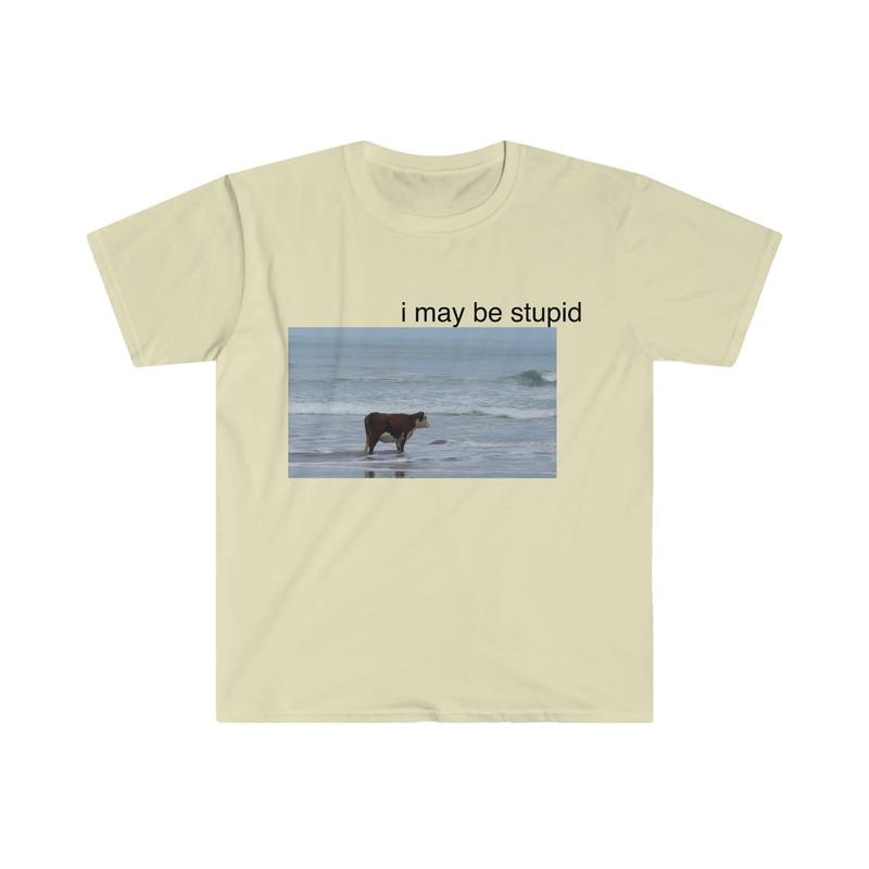 I May Be Stupid Cow On Beach Funny Meme Tshirt  sweater Hoodie, Sweatshirt | HypeDripTees.com