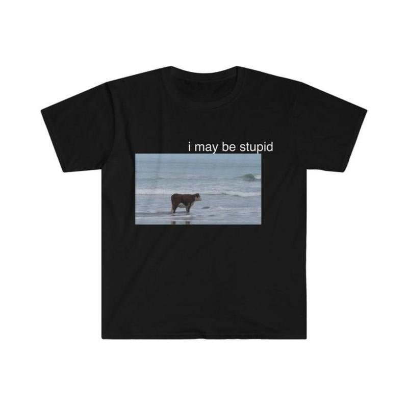I May Be Stupid Cow on Beach Funny WoMeme TShirt Menswear Top Hoodie, Sweatshirt | HypeDripTees.com