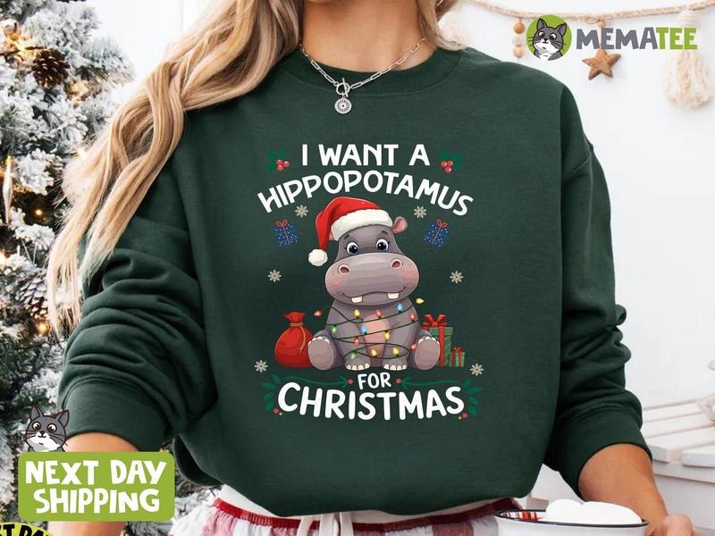 I Want A Hippopotamus For Christmas Sweatshirt, Hippo Christmas Lights Sweater, Christmas Hippopotamus Sweater, Cute...