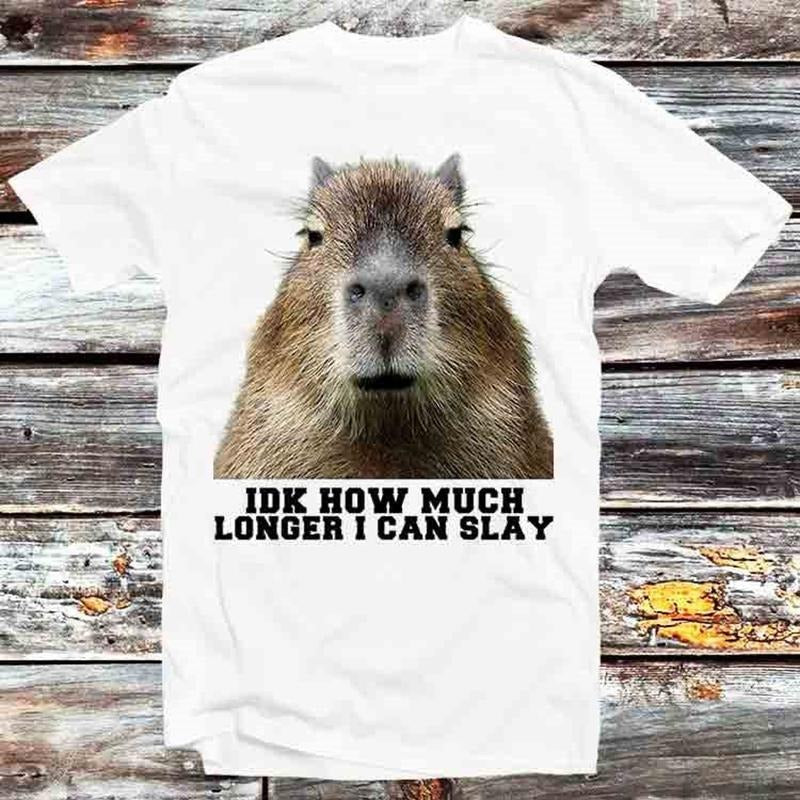 Idk How Much Longer I Can Slay Capybara Sarcastic Dank Meme T Shirt Vintage Retro Cool Gift Unisex Cartoon Anime Top Tee...