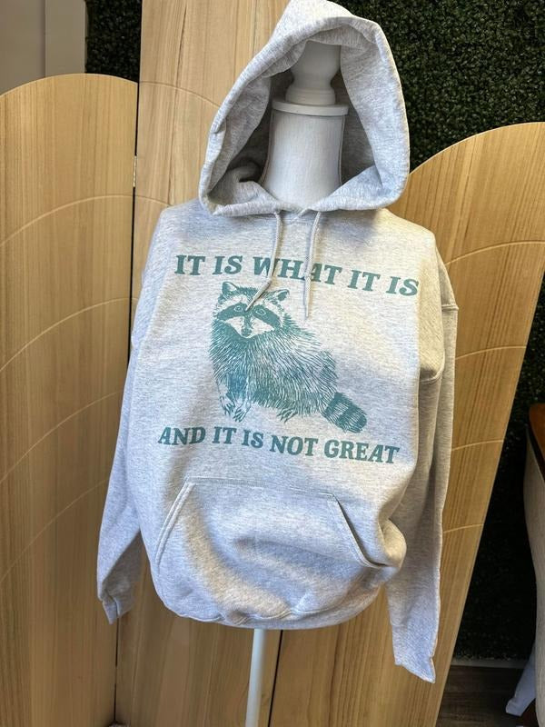 It Is What It Is And It Is Not Great - HOODIE VERSION - Trash Panda Sweatshirt T-Shirts | HypeDripTees.com