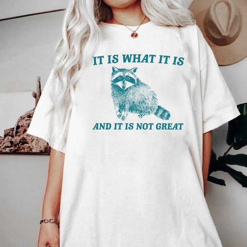 It Is What It Is And It Is Not Great Shirt, Vintage Comfort Colors Shirt, Raccoon Meme Shirt, Funny Trash Panda Shirt...