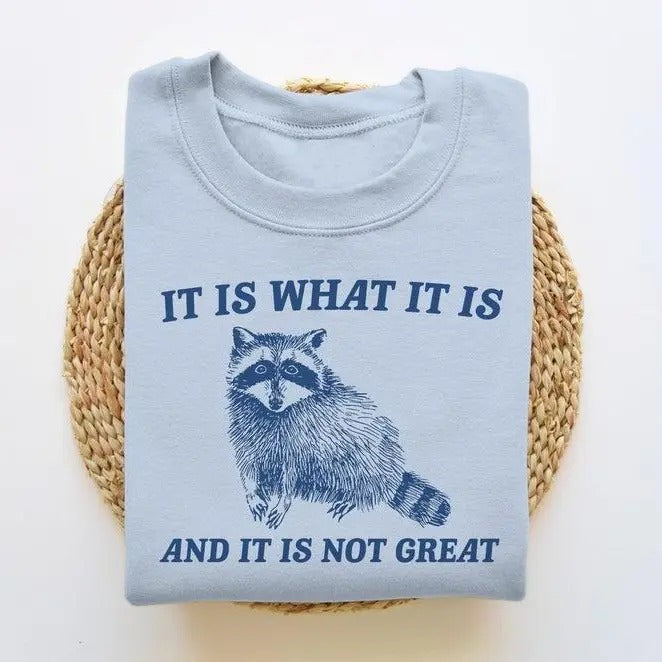 It Is What It Is And It Is Not Great, Funny Sweatshirt T-Shirts, Hoodie | HypeDripTees.com