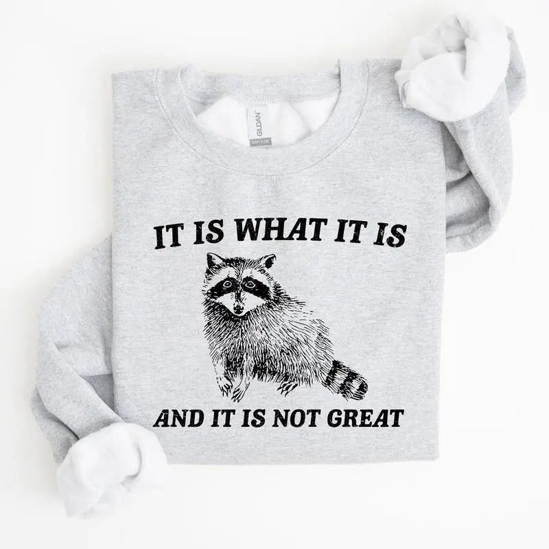 It Is What It Is And It Is Not Great, Raccoon, Funny, Aesthetic Sweatshirt Casual Cotton T-Shirts, Hoodie | HypeDripTees.com