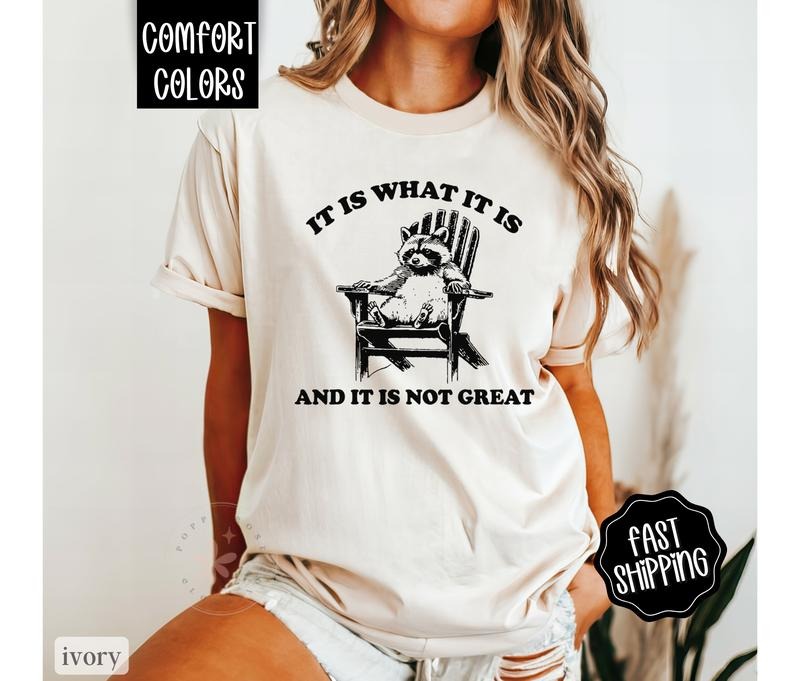 It Is What It Is Shirt Comfort Colors, Raccoon Shirt, Oversized Graphic Tshirt, Vintage Tshirts Hoodie, Sweatshirt