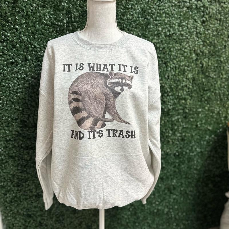 It is What It Is And Its TRASH Sweatshirt or Tee Hoodie | HypeDripTees.com