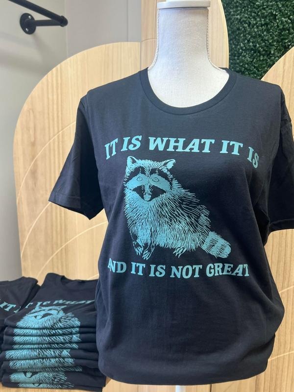 It is What it is and it is Not Great BLACK T-SHIRT - Raccoon Shirt - Funny Tee Hoodie, Sweatshirt | HypeDripTees.com