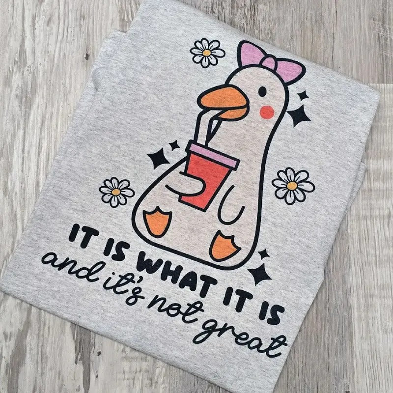 It is what it is and it's not great  Graphic Tee or Sweatshirt Hoodie | HypeDripTees.com