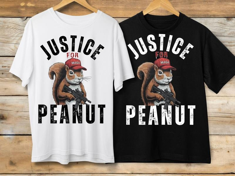 Justice for Peanut Shirt, Peanut the Squirrel Shirt,  Squirrel Lover Gift, Save Squirrel Gift Hoodie, Sweatshirt