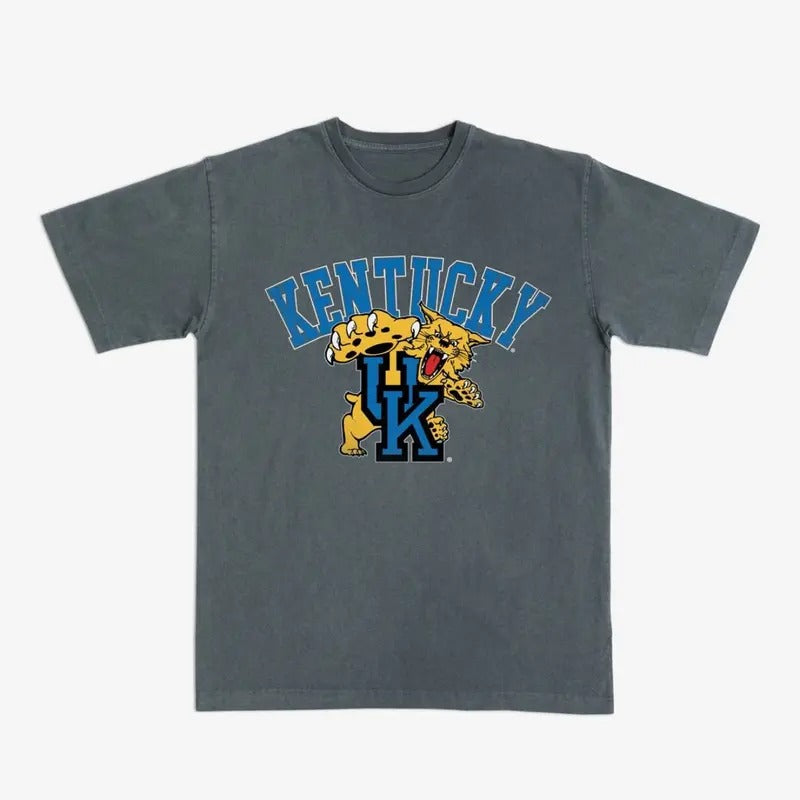 Kentucky Big Logo Heavy Tee, NCAA Shirt, Vintage Football Shirt, Sport Tee, Graphic Shirt For Men, For Women Tshirt Top...