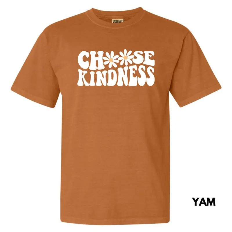 Kindness Chooser Comfort Colors T-Shirt 'NLB' Hoodie, Sweatshirt | HypeDripTees.com
