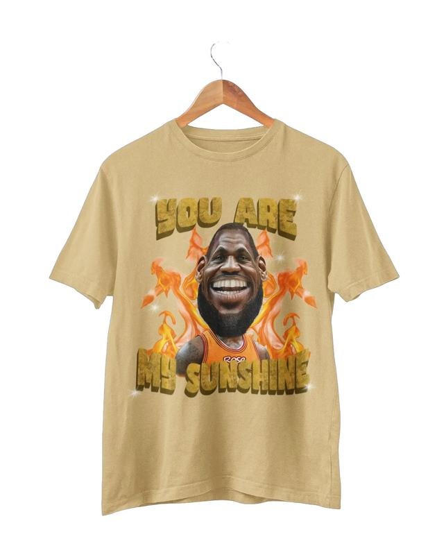L James sunshine viral T-shirt Sweatshirt Hoodie | HypeDripTees.com