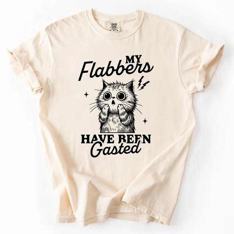 My Flabbers Have Been Gasted, Flabbergasted Cat, Funny, Sassy, Sarcastic Tshirt, Women's Comfort Colors Tee Hoodie,...