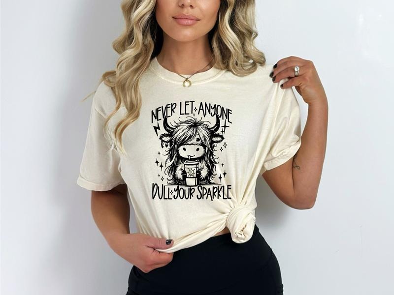 Never Let Anyone Dull Your Sparkle Shirt & Sweatshirt Hoodie | HypeDripTees.com