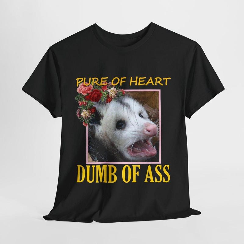 Pure of Heart, Dumb of Ass Opossum T-Shirt Hoodie, Sweatshirt | HypeDripTees.com