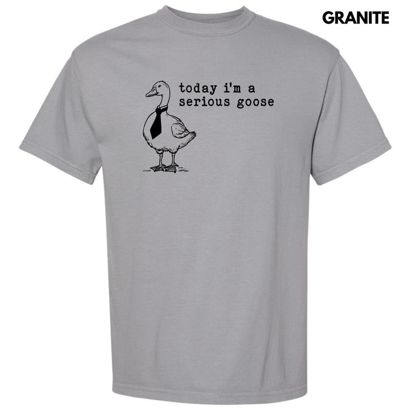 Serious Goose Comfort Colors T-Shirt 'NLB' Hoodie, Sweatshirt | HypeDripTees.com