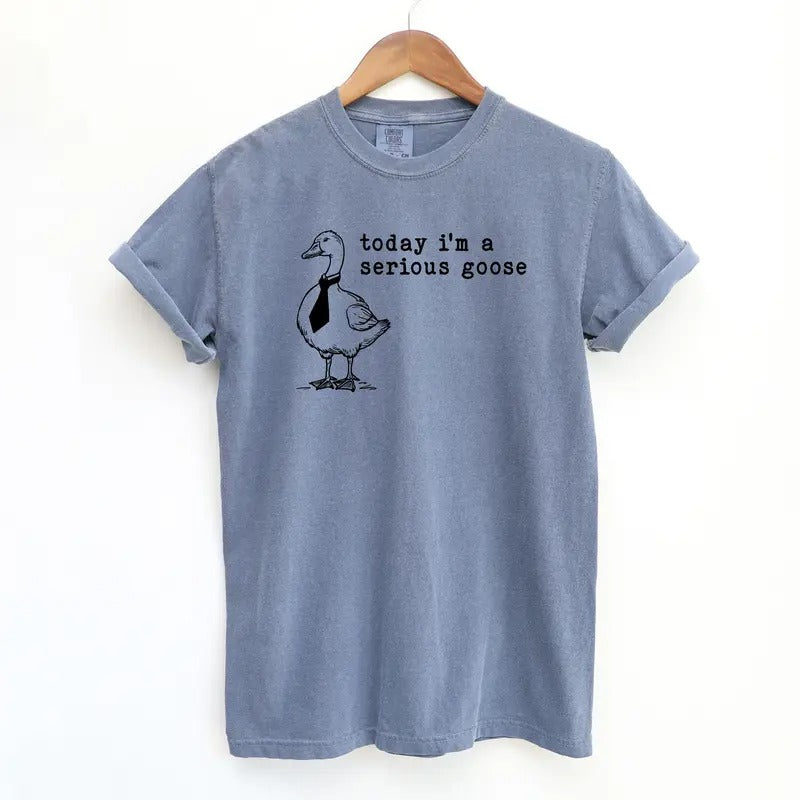 Serious Goose Funny Shirt, Meme Comfort Colors Shirt Menswear T-Shirt Hoodie, Sweatshirt | HypeDripTees.com