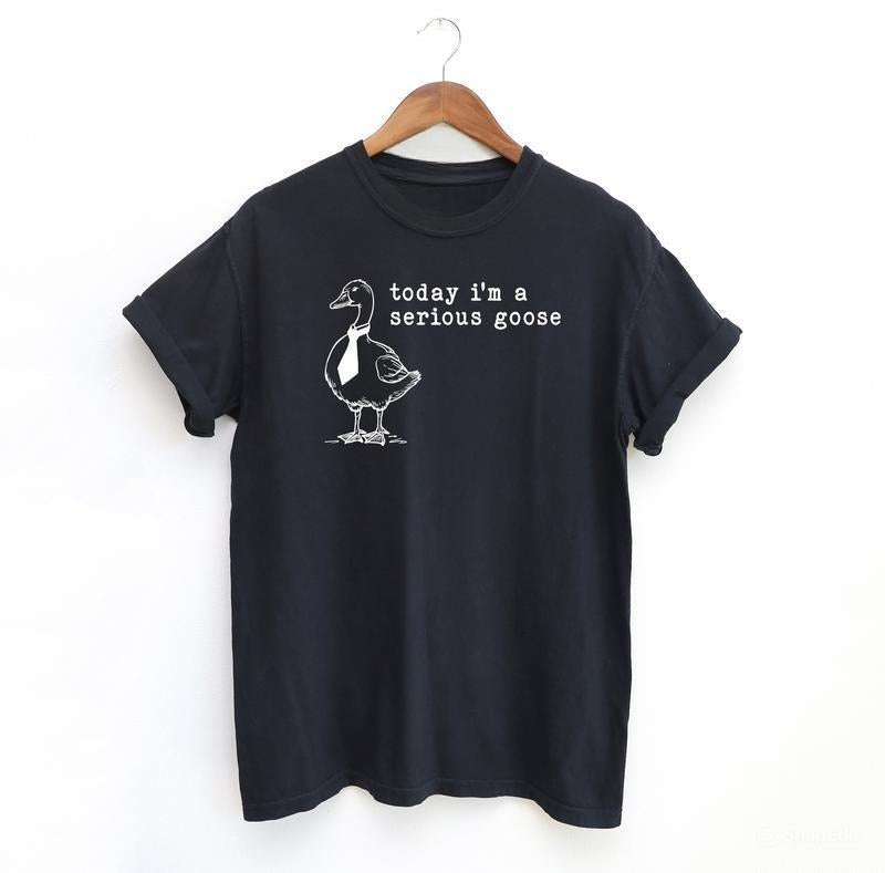 Serious Goose Funny Shirt, Meme Shirt, Menswear T-Shirt Hoodie, Sweatshirt | HypeDripTees.com