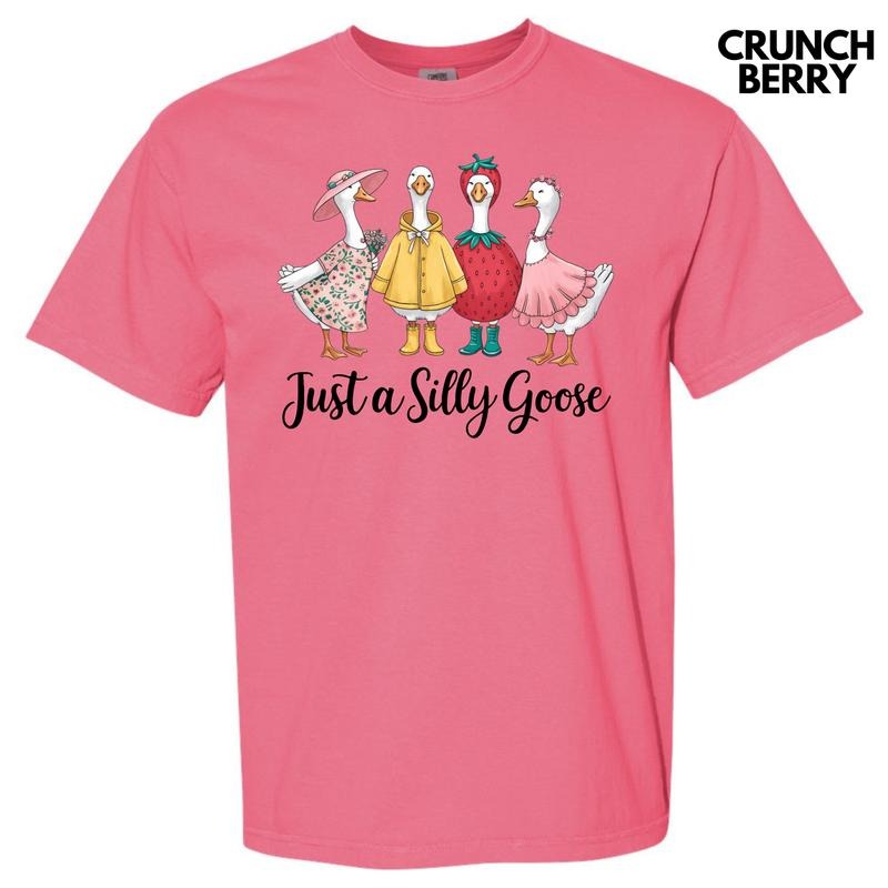 Silly Goose Group Comfort Colors T-Shirt 'NLB' Hoodie, Sweatshirt | HypeDripTees.com