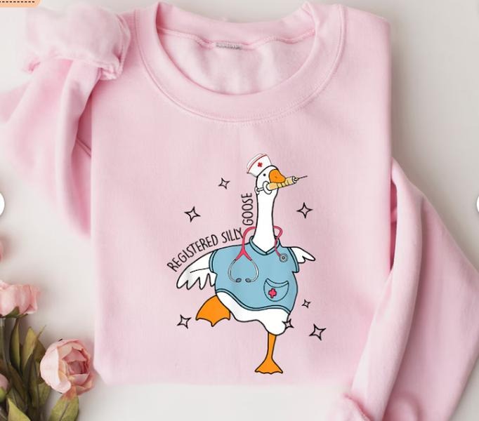 Silly Goose Registered Nurse Sweatshirt, Nursing Student Hoodie, Nursing School T-Shirts | HypeDripTees.com
