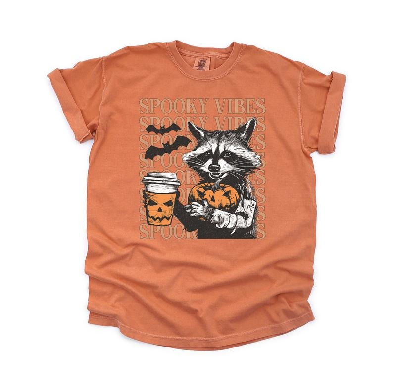 Spooky Vibes Raccoon Vintage Shirt, Autumn Comfort Colors Shirt Hoodie, Sweatshirt | HypeDripTees.com