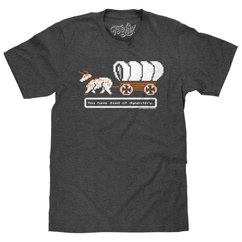 The Oregon Trail You Have Died of Dysentery Video Game Quote T-Shirt - Heather Graphite Hoodie, Sweatshirt | HypeDripTees.com